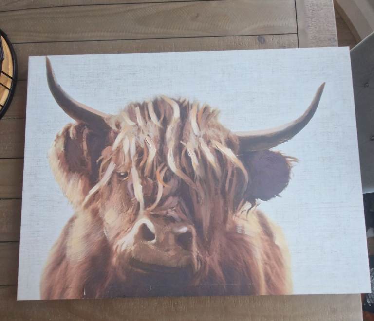 steven brown art picture frame