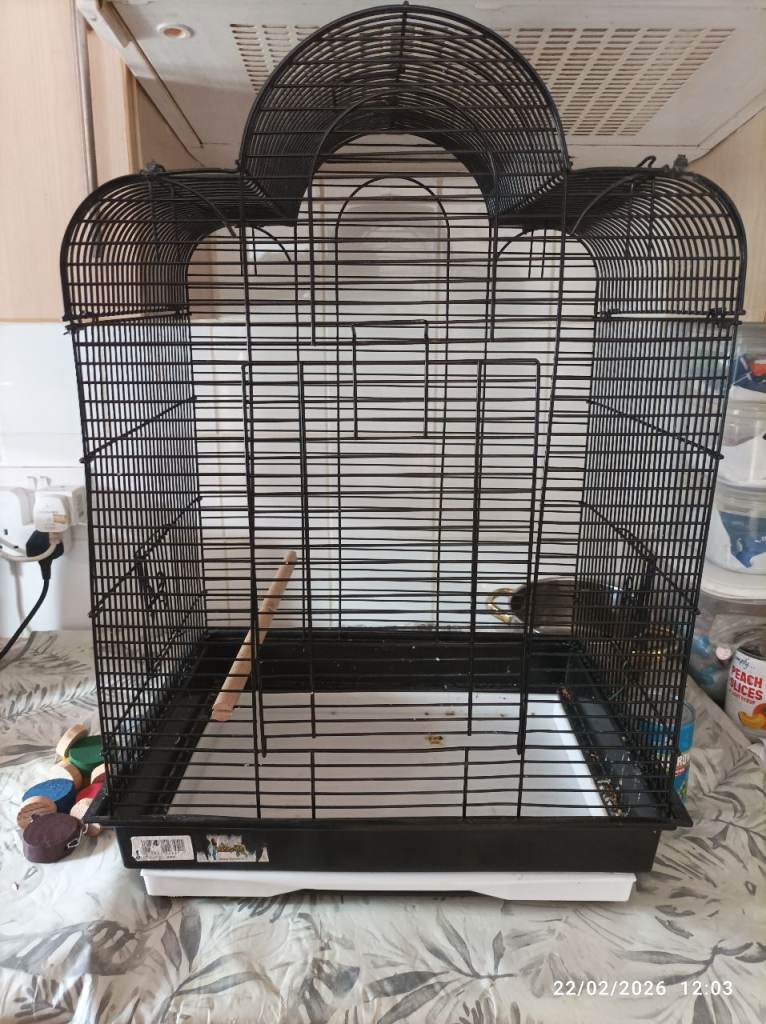 Black Bird Cage with handle great for one male canary or baby birds or transporting birds in the car