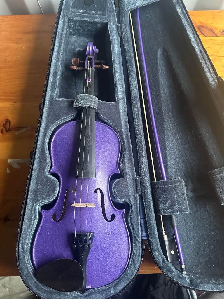 Purple Student Violin With Case