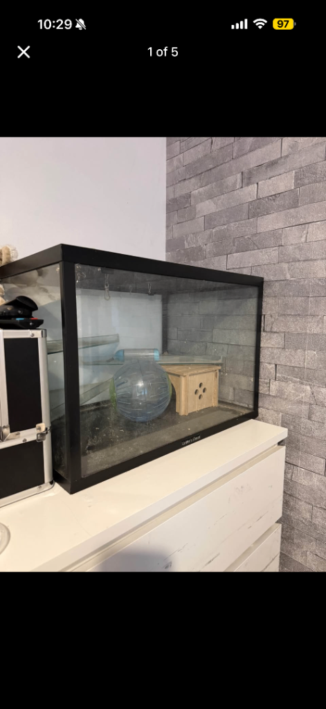 Critters choice tank