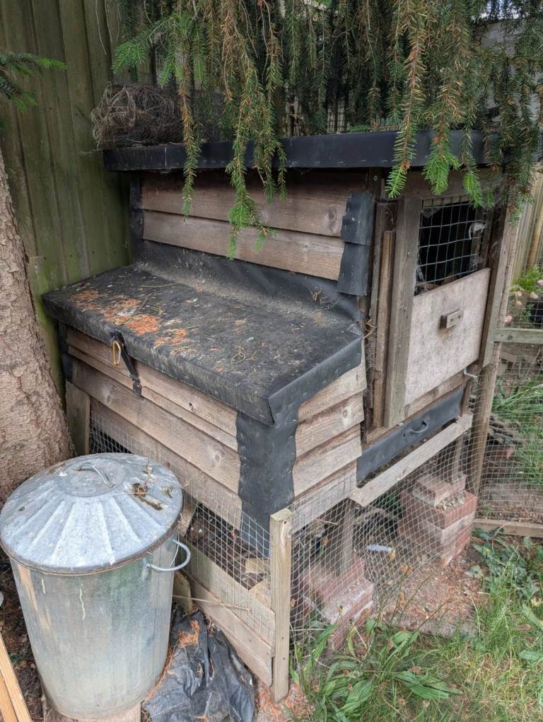Chicken Coop Custom Automatic door 3-6 hens