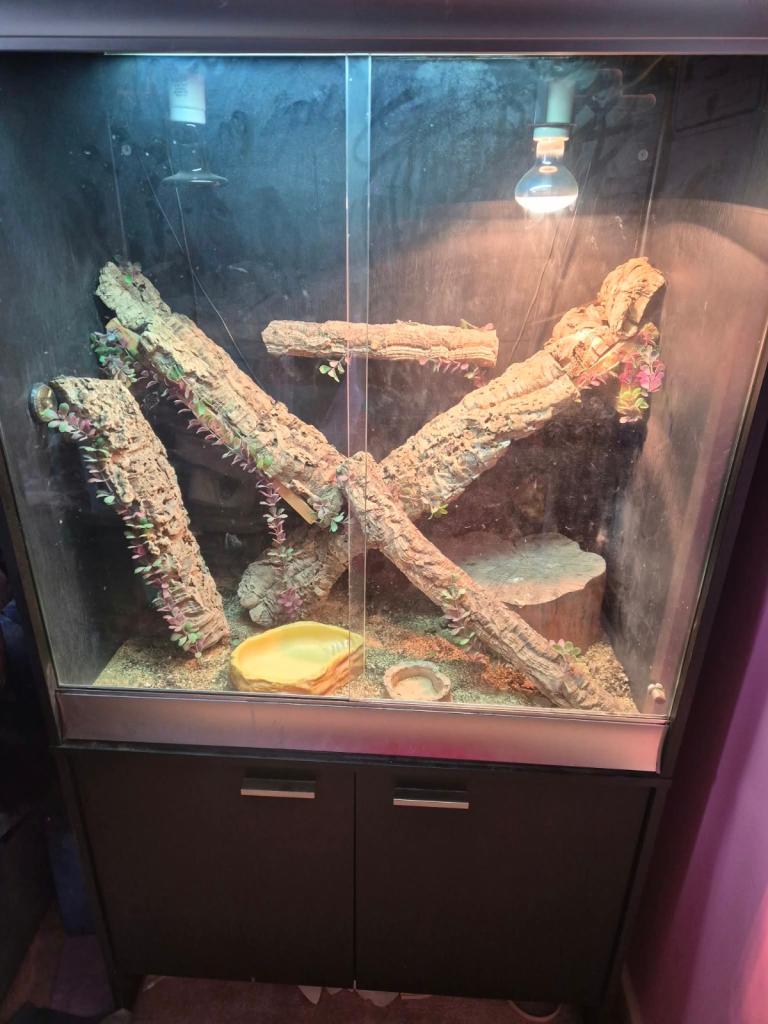Vivarium full set up 