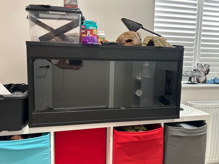 Vivarium - reptile enclosure