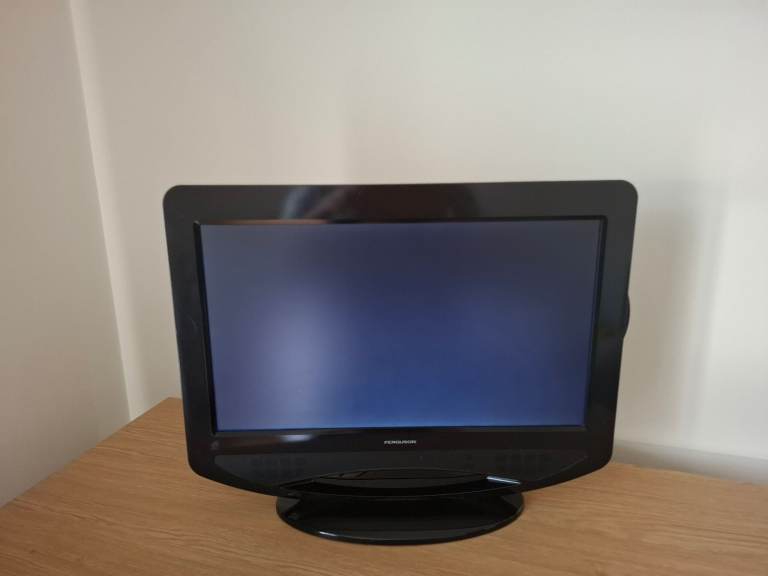 Ferguson 19 inch TV/DVD