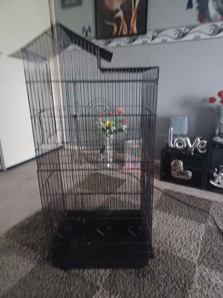 Bird cage 