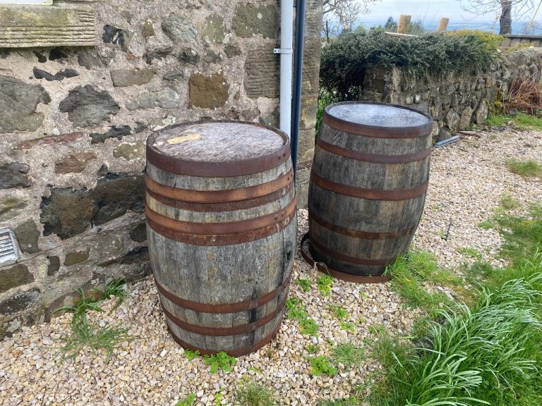 Whiskey barrels and half barrels
