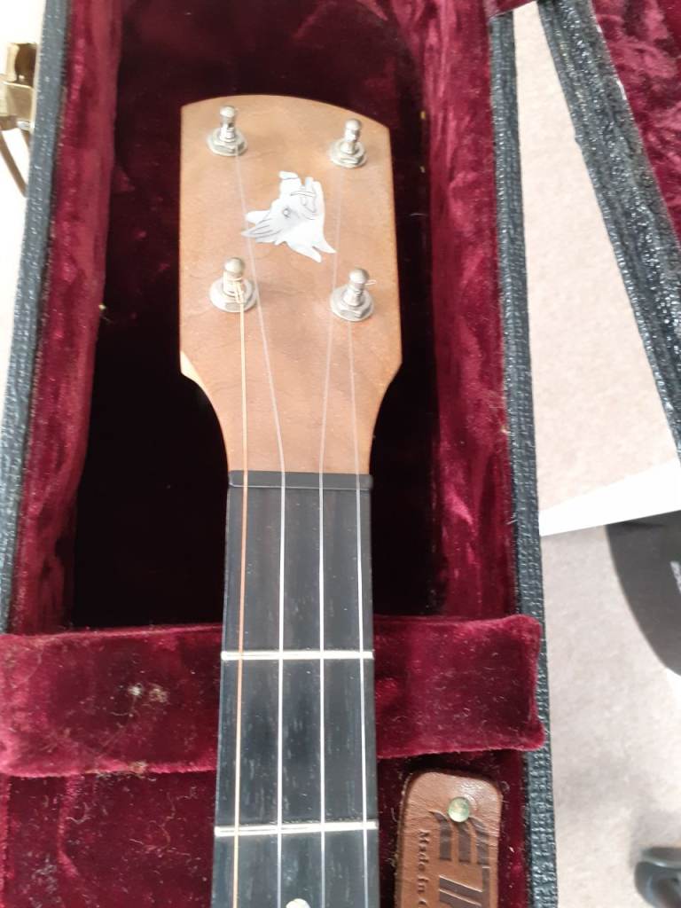 Open back banjo