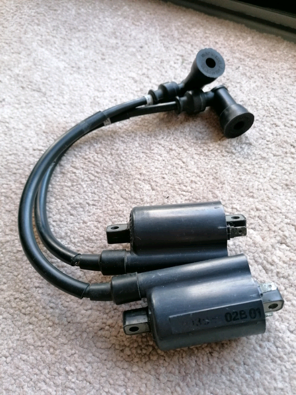 Suzuki vl125 ignition coils