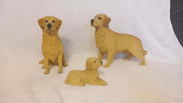 3 golden retriever dogs 