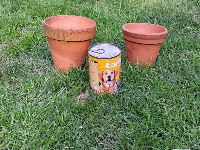 Terracotta plant pots 50 pence each
