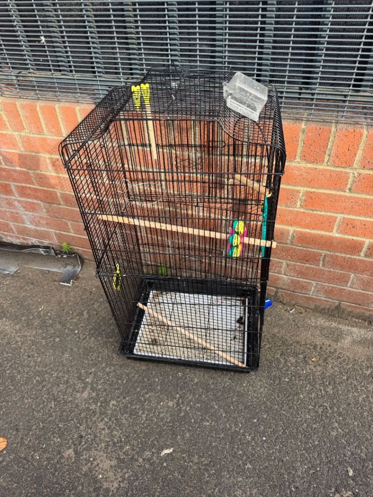 Budgie cage 