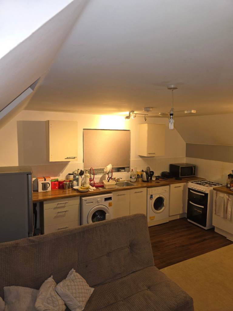 Stunning Newly Decorated Flat in Reading - December 2025 (2 weeks)