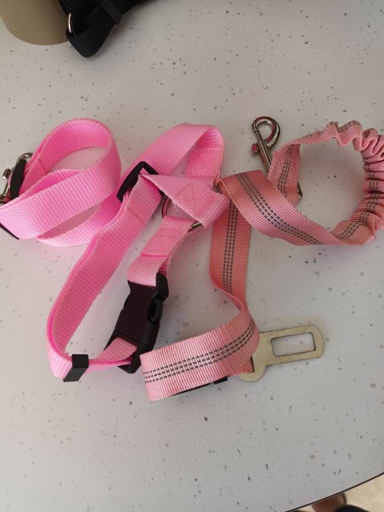2 car safety leads pink for dogs