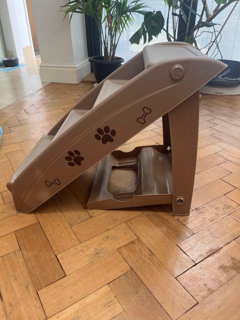 Dog steps 