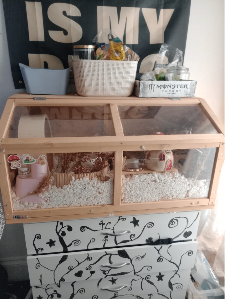 Wooden hamster cage- COLLECTION ONLY BRIDLINGTON