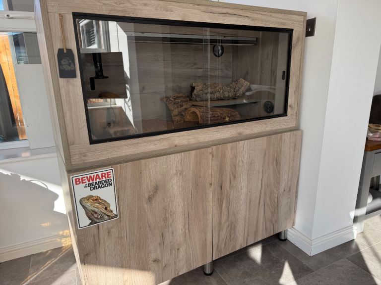 4ft x 2ft x 4ft bearded dragon vivarium