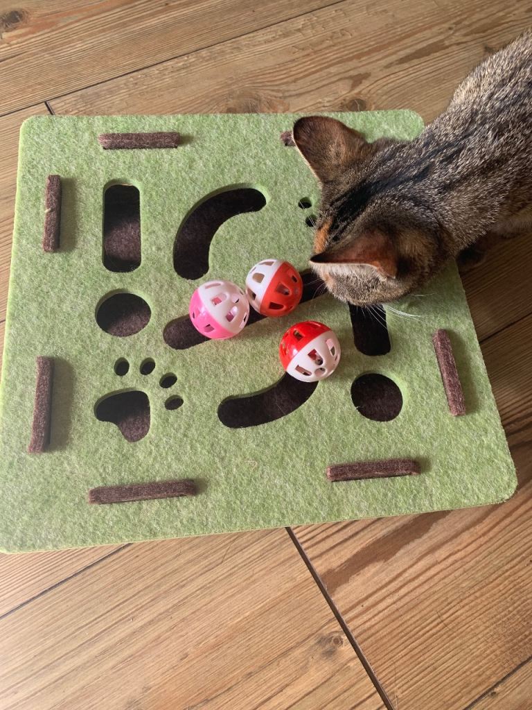 Cat Maze - Cat toy 