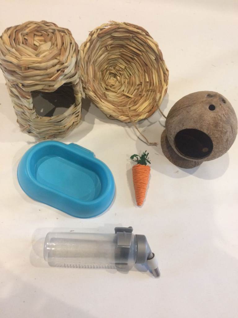 Hamster rodent accessories