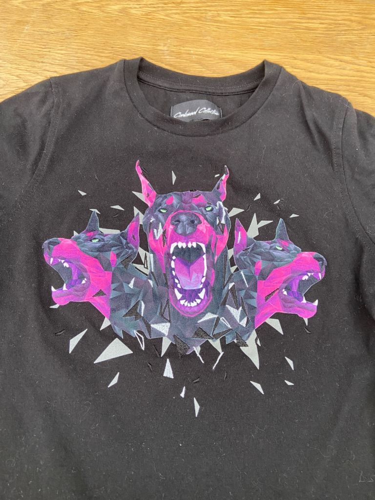 Boys T-Shirts,  4 for £25, size medium,  from Footasylum . 