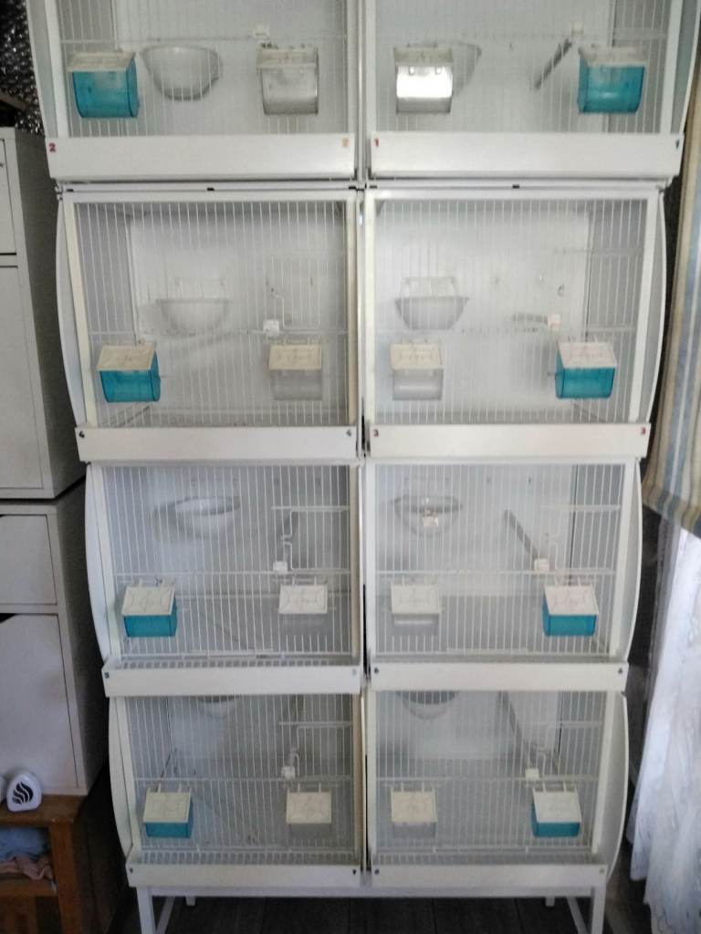 PVC double bird breeding cages ideal for carary and finch