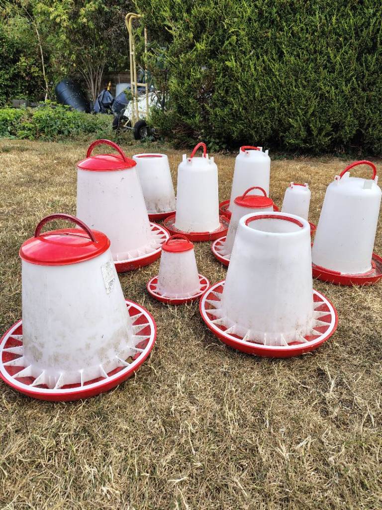 Poultry feeders and drinkers 