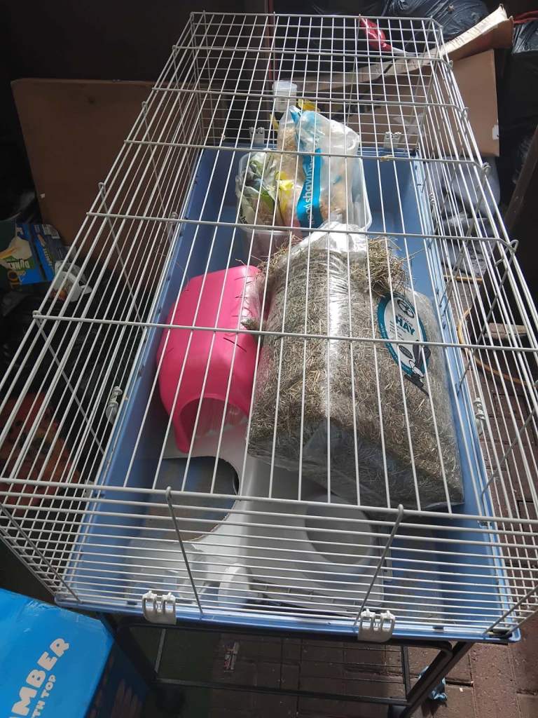 Large rabbit / gineau pig cage and stand 