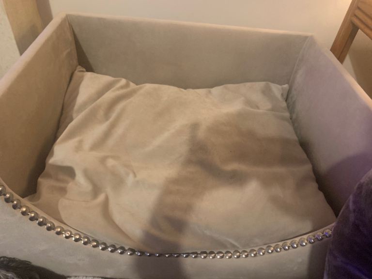 Stunning dog bed 