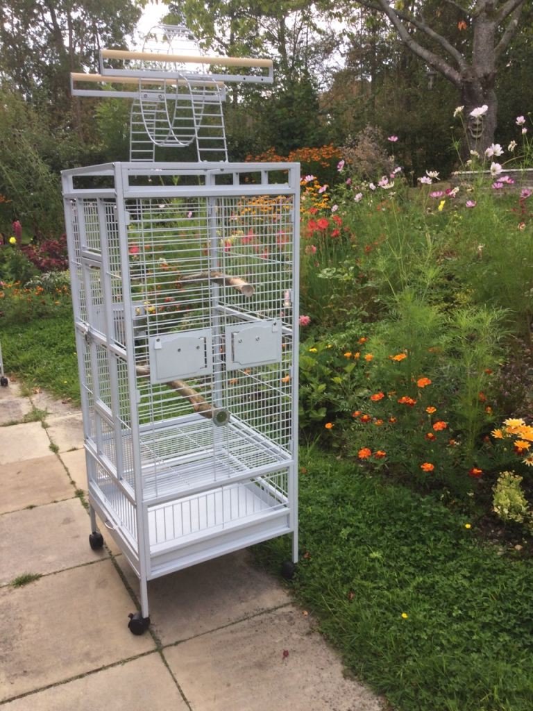 Bird cage ( Pegasus medium cage stone )