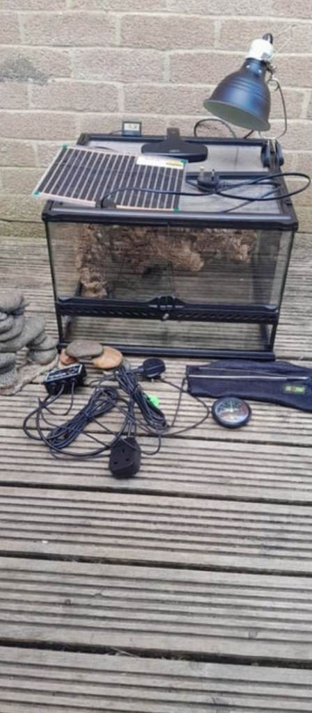 Exo terra reptile terrarium 