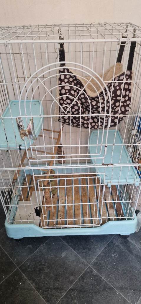Chinchilla/Rodent cage