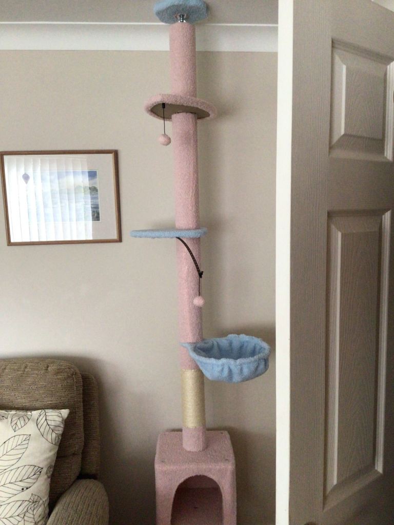 Cat / Kitten Floor To Ceiling Activity Tree. 