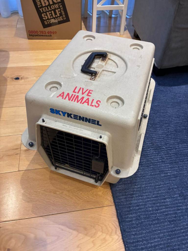Cat or small dog carrier