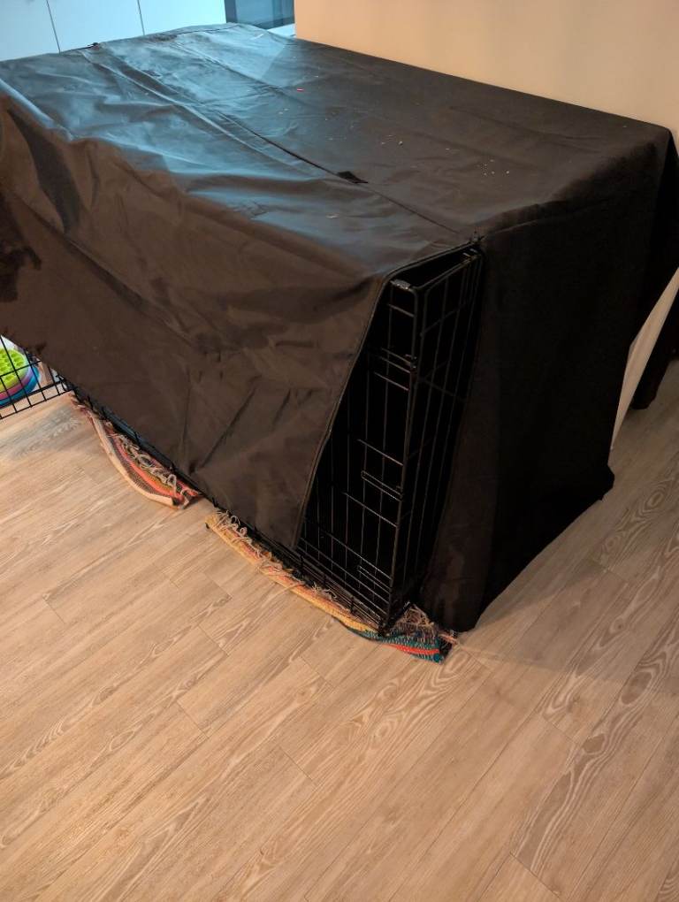 Kong X Large Crate Great Condition 