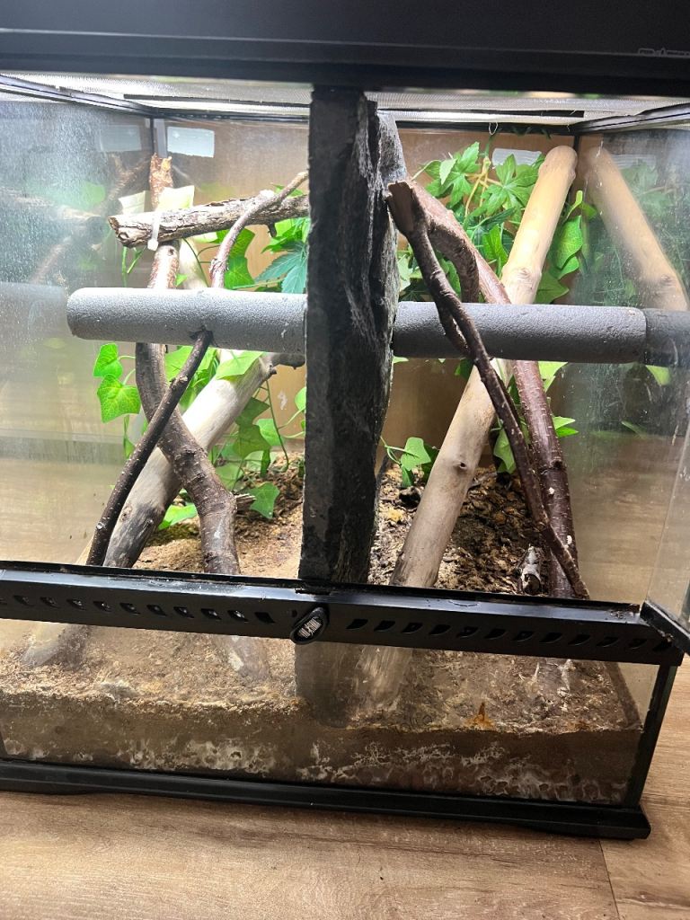 45cm cube exo terra vivarium with a canopy