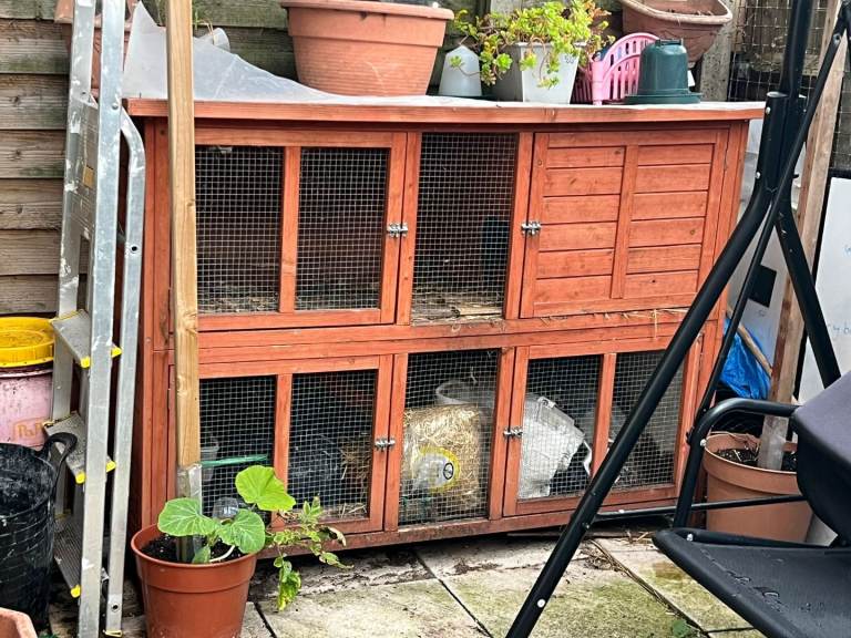 Chicken/ Rabbit Coop