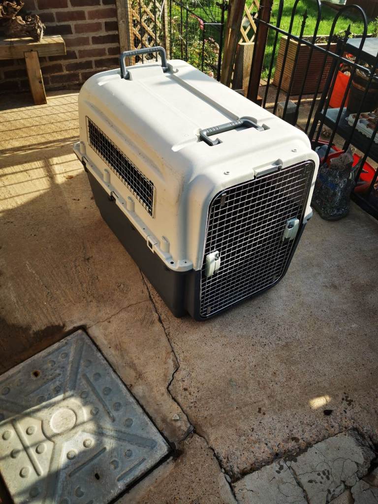Car dog crate 