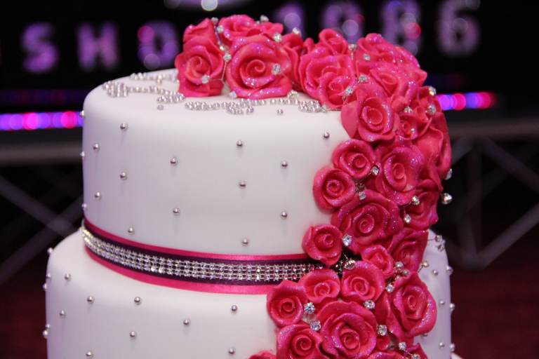 Photographer birthdays party