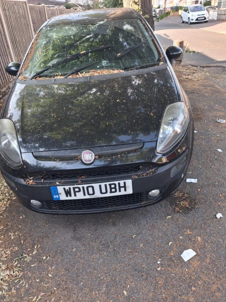 Fiat, PUNTO EVO, Hatchback, 2010, Manual, 1368 (cc), 5 doors