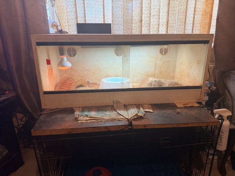 Large Wooden Reptile Vivarium (4ft) with Heating, Lighting & Accessories