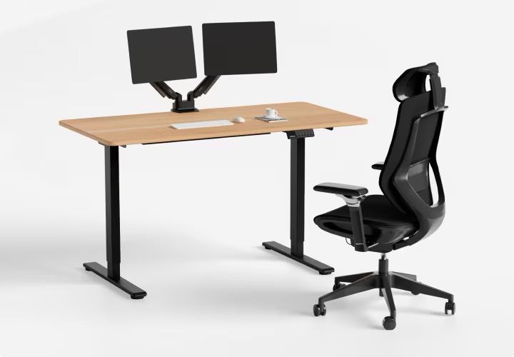 Flexispot EV5 Standing Desk
