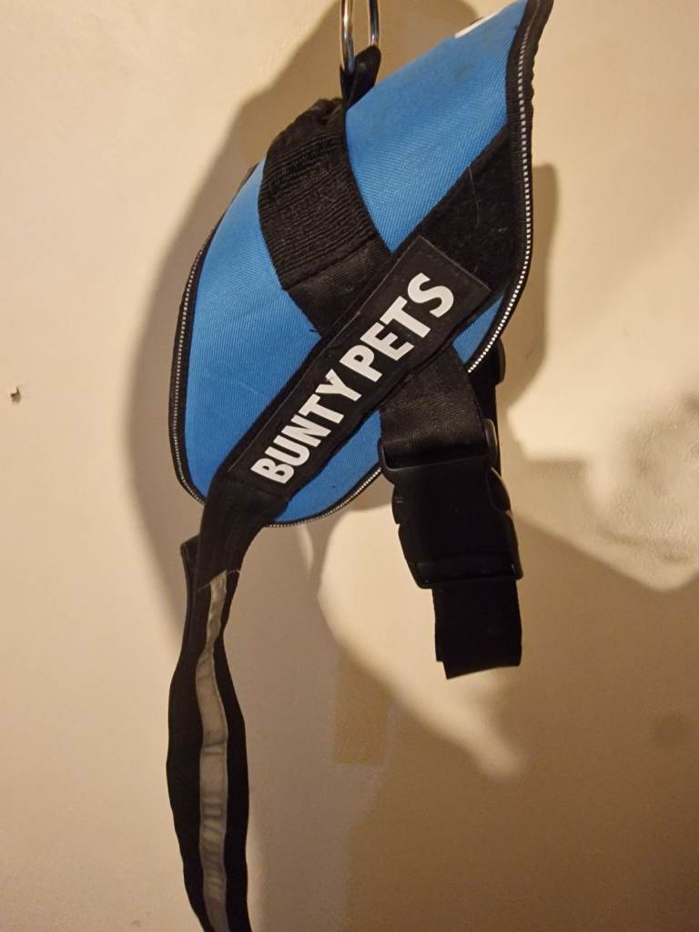 XXL Bunty pets Dog body harness blue