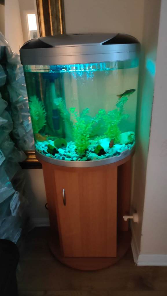 Fish tank with stand 
