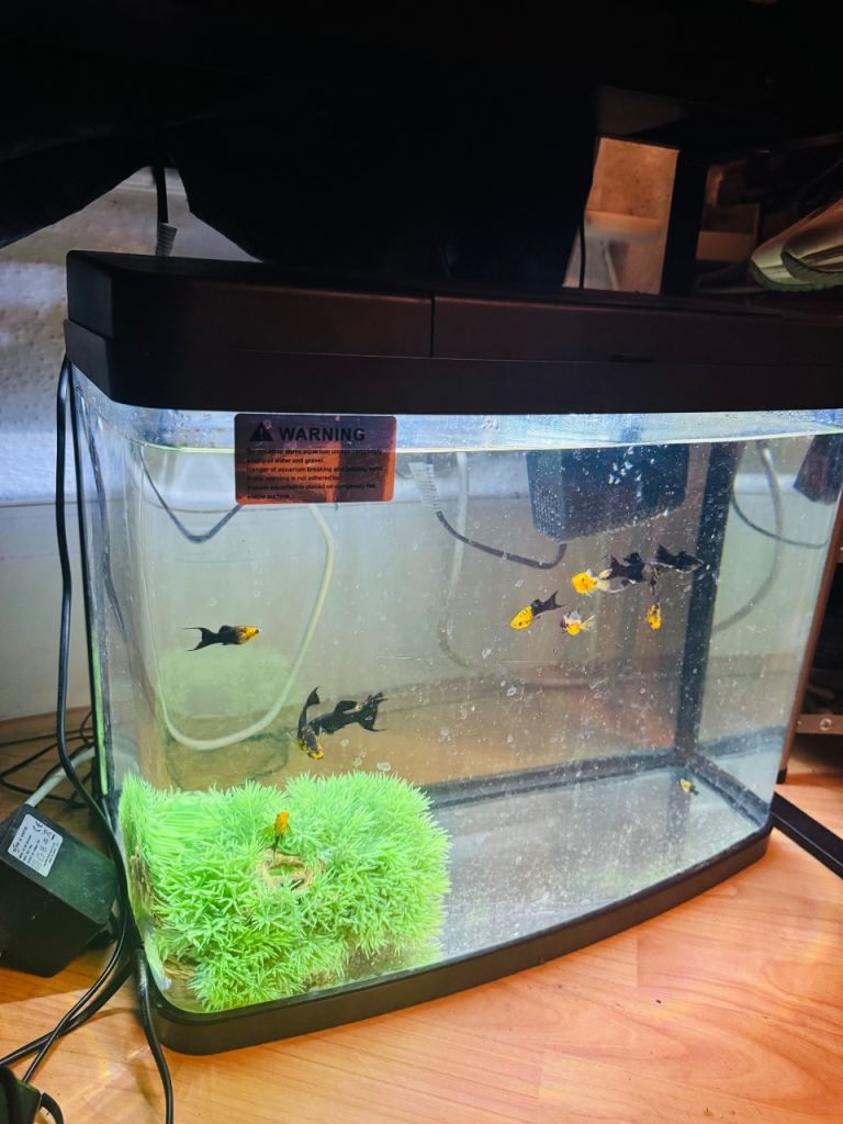 40L Love Fish Panorama Aquarium