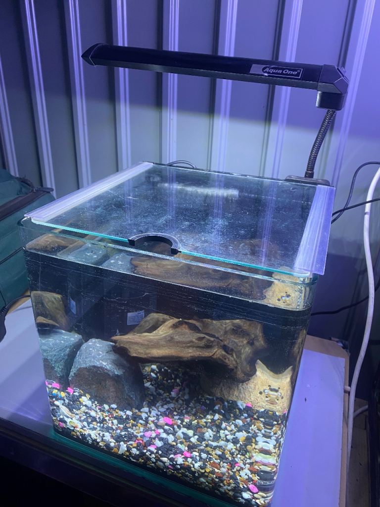 Fish tank 30x30x30cm 