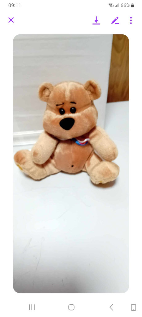  Chubbley Bear