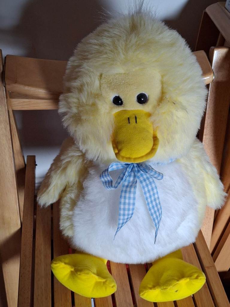 Duck Soft Toy 