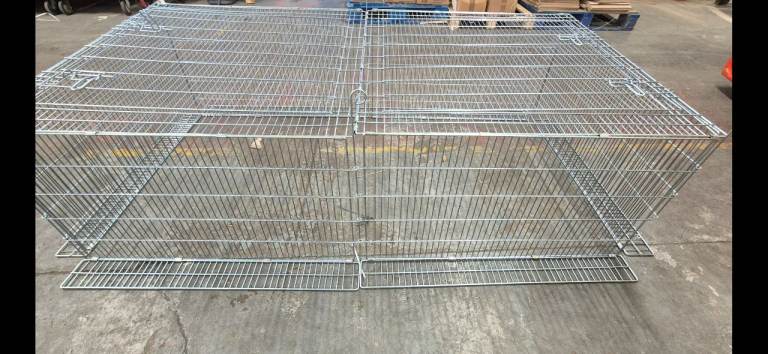 6ft Rabbit run