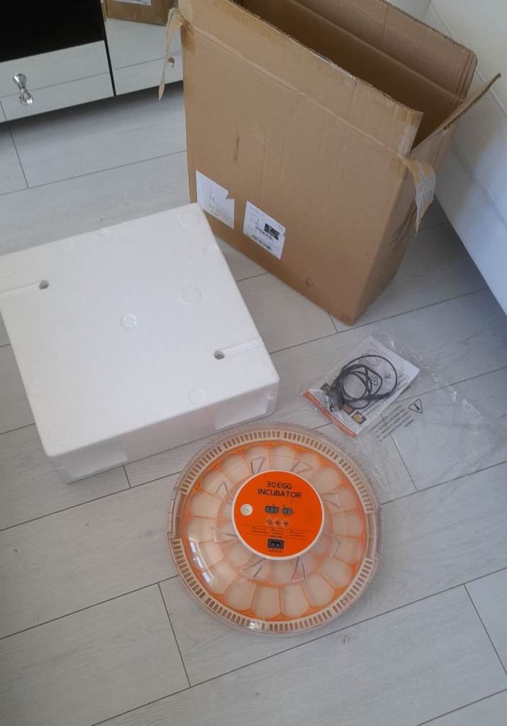 Egg incubator 