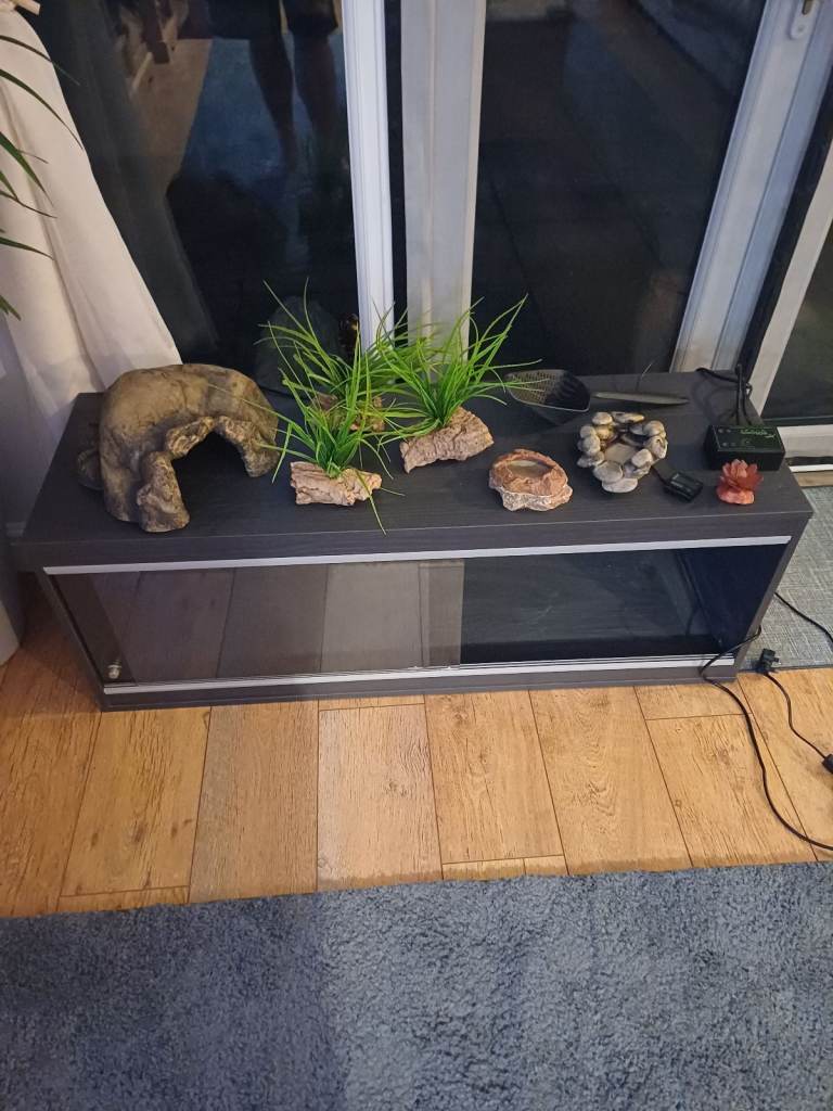 4ft vivarium 