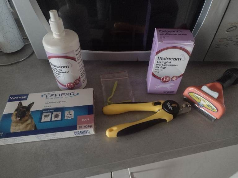 Dog accessories bundle